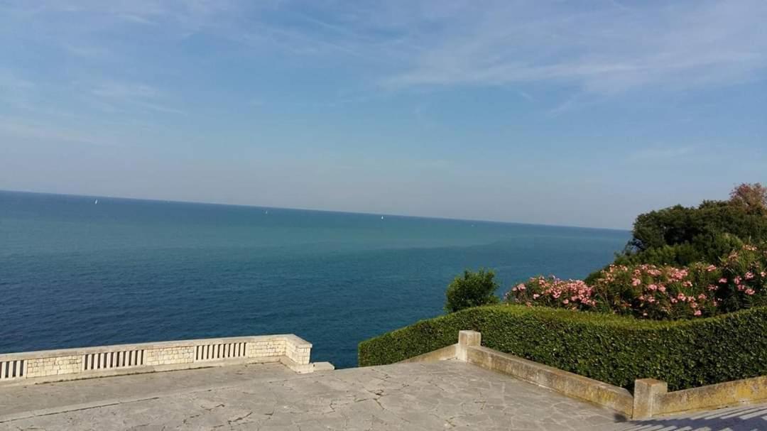 Casa Viorica Hotel Ancona Ngoại thất bức ảnh